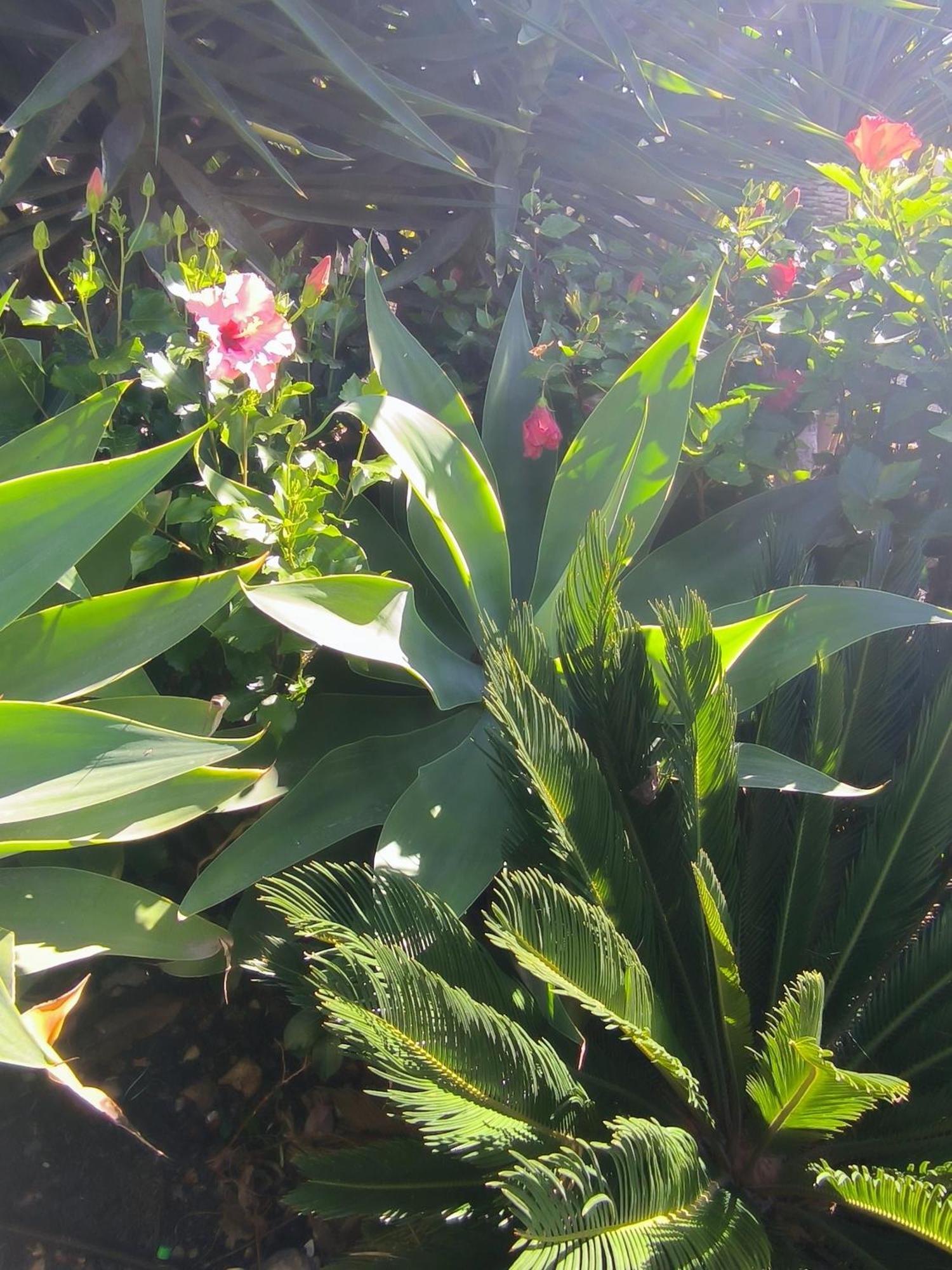 Villa Daita 2 Villa Daita 3 格拉纳迪利亚-德阿沃纳 外观 照片