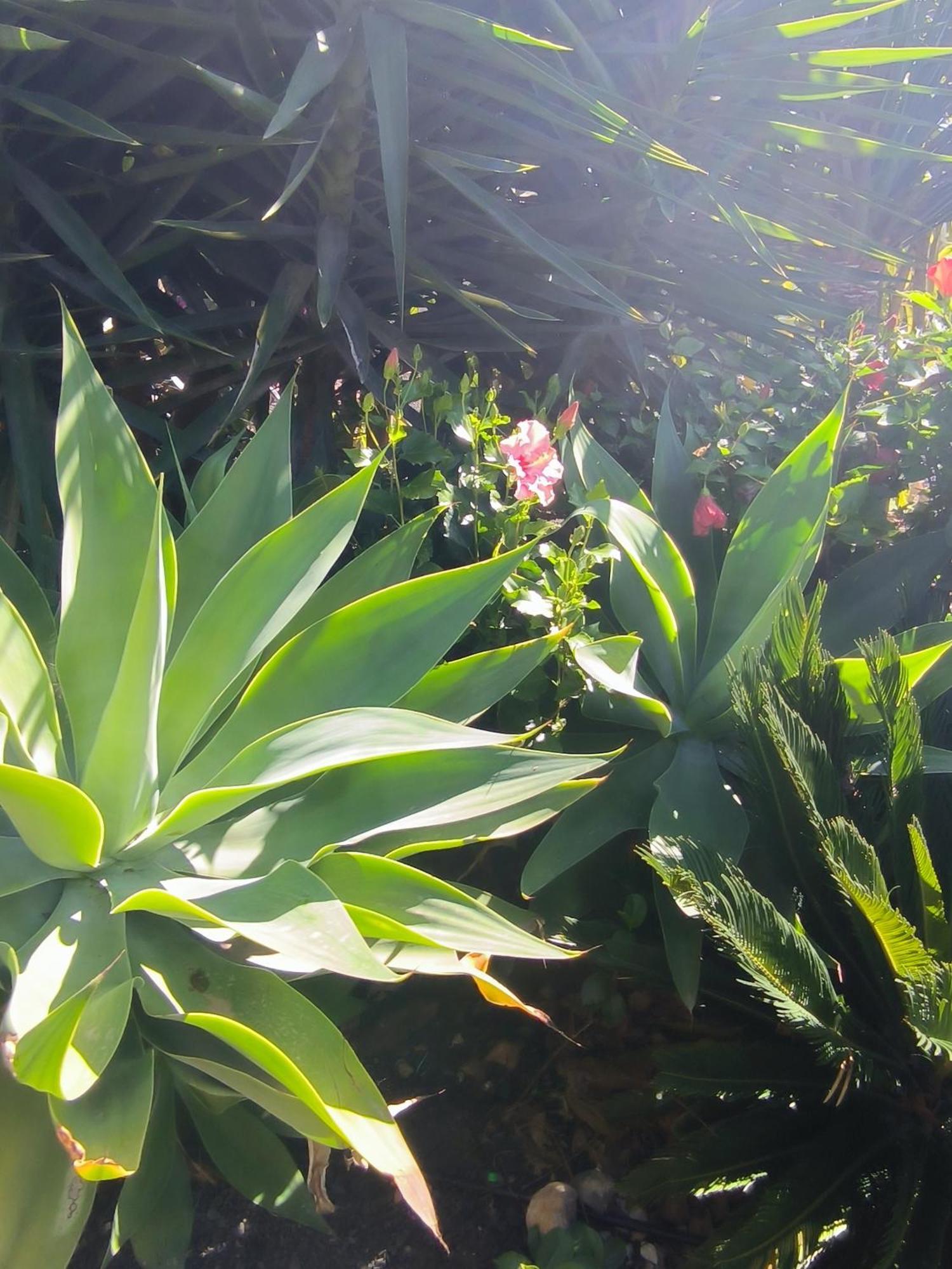 Villa Daita 2 Villa Daita 3 格拉纳迪利亚-德阿沃纳 外观 照片