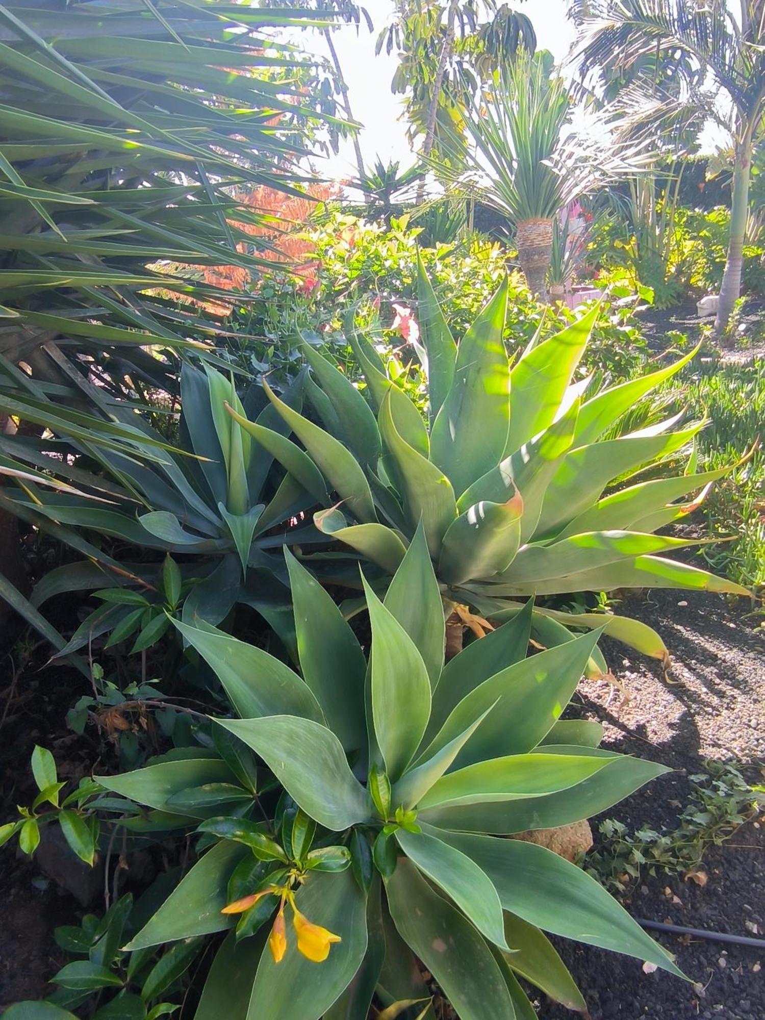 Villa Daita 2 Villa Daita 3 格拉纳迪利亚-德阿沃纳 外观 照片
