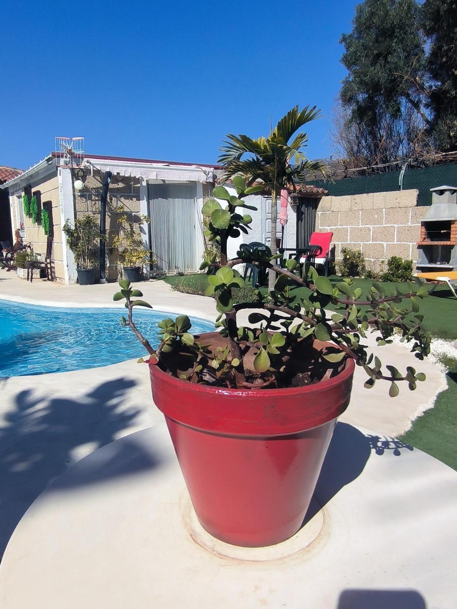 Villa Daita 2 Villa Daita 3 格拉纳迪利亚-德阿沃纳 外观 照片