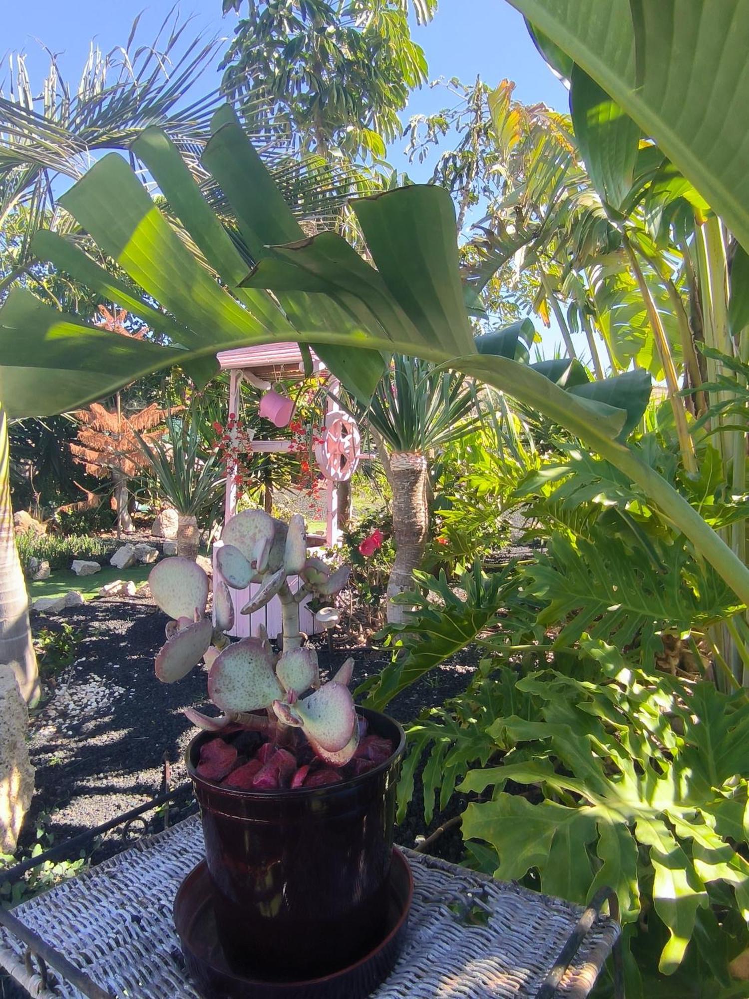 Villa Daita 2 Villa Daita 3 格拉纳迪利亚-德阿沃纳 外观 照片